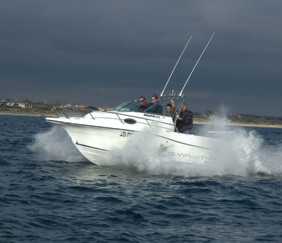 Evolution 652 Predator